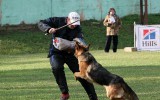 01.05.2012, Smolensk, 2. Pl. in der GHKL-H, Richter FCI - Petrow W