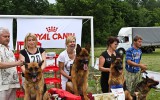 16.06.12, Voronezh; Team Bulle Hof DODGE, 1.Pl. in der GHKL-R, &quot;Best in TSB-Überpr.&quot;, Richter FCI - J. Petkovic (Serbien)