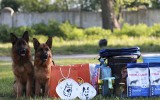 30.05.2015, Липецк, 1-е место в Рабочем классе-сук, КЧК, Судья ФЦИ-ВУСФ  -  В. Космальски (Польша)