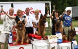 16.06.12, Voronezh; Team Bulle Hof DODGE, 1.Pl. in der GHKL-R, &quot;Best in TSB-Überpr.&quot;, Richter FCI - J. Petkovic (Serbien)