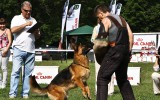 16.06.12, Voronezh; Team Bulle Hof GLAFIRA, 2.Pl. in der GHKL-R, Richter FCI - J. Petkovic (Serbien)