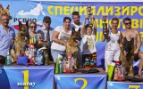 03.08.2014, Moskau, Siegerschau Russland, 3V in der GHKL-R, Richter SV - Wilchelm Nordsieg