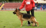 13 мая 2012, Team Bulle Hof Glafira, 1. Pl. in der GHKL-H, Richter - H. Scheerer