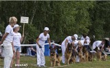 03.08.2014, Moskau, Siegerschau Russland, TBH Glafiras Nachkommengruppe, 4V in der GHKL-H, Richter SV - Wilchelm Nordsieg