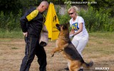 03.08.2014, Moskau, Siegerschau Russland,  4V in der GHKL-H, Richter SV - Wilchelm Nordsieg