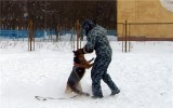 Februar 2011