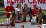21.06.2014, Zuchtschau in Voronezh (Russland), 1V in der GHKL-H, Richterin RKF-FCI, Olga Larina