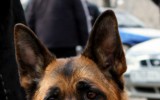 Juli, 2011