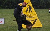 21.06.2014, Zuchtschau in Voronezh (Russland), 1V in der GHKL-H, Richterin RKF-FCI, Olga Larina