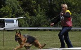 21.06.2014, Zuchtschau in Voronezh (Russland), 1V in der GHKL-H, Richterin RKF-FCI, Olga Larina
