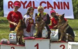 21.06.2014, Zuchtschau in Voronezh (Russland), 1V in der GHKL-H, Richterin RKF-FCI, Olga Larina