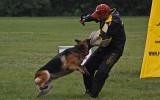 21.06.2014, Zuchtschau in Voronezh (Russland), 1V in der GHKL-H, Richterin RKF-FCI, Olga Larina