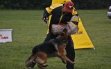 21.06.2014, Zuchtschau in Voronezh (Russland), 1V in der GHKL-H, Richterin RKF-FCI, Olga Larina
