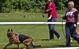 21.06.2014, Zuchtschau in Voronezh (Russland), 1V in der GHKL-H, Richterin RKF-FCI, Olga Larina