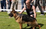 29. Mai 2011, Universalmeisterschaft Ukraine, 1. Pl., Baby Klasse, Richter SV, R. Brauch