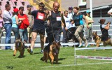 29. Mai 2011, Universalmeisterschaft Ukraine, 1. Pl., Baby Klasse, Richter SV, R. Brauch