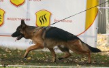 1 SG, NWKL-R, Moskau, 15.10.2011., Richter: Mark Renaud (F)