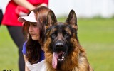 24.06.12, Рязань, Team Bulle Hof Jago, 1. Pl. in der JKL-R; Richter FCI - Olga Morozowa (Russland)