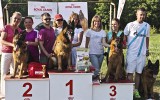 24.05.2014, Zuchtschau in Tula (Russland), 1V in der GHKL-R, Richterin RKF-FCI - Schischkina Tatjana