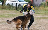 03.08.2014, Moskau, Siegerschau Russland, 3V in der GHKL-R, Richter SV - Wilchelm Nordsieg