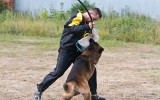 03.08.2014, Moskau, Siegerschau Russland, 3V in der GHKL-R, Richter SV - Wilchelm Nordsieg