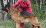 10.05.2015, 4,5 года