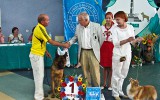 07.07.12, Poltava, CACIB, Team Bulle Hof Jocker, CW, BOB, CACIB, BIG-1, BIS-4