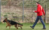 Team Bulle Hof KORTES