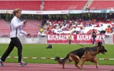 06.09.2014, BSZS, Nürnberg, Omen v. Radhaus Nachkommengruppe