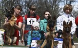 20.04.2013, Rostov, Süd-russische Zuchtschau, 1VV, Baby Klasse, Richter-Jose Graca Aranha (Brasil)