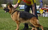 20.04.2014, Pokal in Charkiv (Uktaine), 1SG in der JKL-H, Richter SV - Joachim Stigler