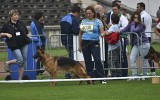 06.09.2014, BSZS, Nürnberg, 95SG in der JHKL-H, Richter - Albrecht Wörner