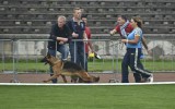 06.09.2014, BSZS, Nürnberg, 95SG in der JHKL-H, Richter - Albrecht Wörner