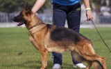 06.09.2014, BSZS, Nürnberg, 95SG in der JHKL-H, Richter - Albrecht Wörner