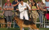 06.09.2014, BSZS, Nürnberg, 47 SG in der JHKL-R, Richter - Helmut Buß