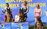 07.06.2014, Zuchtschau in Smolensk (Russland), 4SG in der JKL-R,  Richter - E.Lutow
