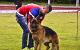 13.07.2014, LG-Zuchtschau, OG - Lehrte/Hannover (Deutschland), 6SG in der JKL-R, Richter SV - Hans-Peter Fetten