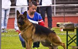 13.07.2014, LG-Zuchtschau, OG - Lehrte/Hannover (Deutschland), 6SG in der JKL-R, Richter SV - Hans-Peter Fetten