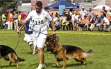 20.07.2014, LG-Zuchtschau Hessen-Süd, OG-Lorsch, 5SG in der JKL-R, Richter SV - Helmut Buß