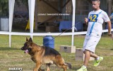 03.08.2014, Moskau, Siegerschau Russland, 3SG in der JHKL-H, Richter SV - Wilchelm Nordsieg