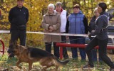 12.10.2014, Weißrussische Pokal, Gomel, 3SG in der JHKL-R, Richter FCI - Milan Mlynarcik