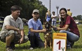 22.06.2013, Zuchtschau in Ljvov (Ukraine), 1VV in der Baby-KL-H, Richter SV - Gennadij Severin