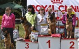 21.06.2014, Zuchtschau in Voronezh (Russland), 4SG in der JKL-H, Richterin RKF-FCI, Olga Larina
