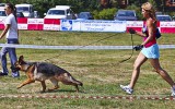 02.08.2014, Russische Siegerschau, Moskau, 9SG in der JKL-H, Richter SV - Wilchelm Nordsieck