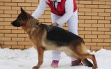 17.01.2015, 21 месяц