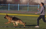 25.04.2015, Белгород, 1Отл. в Рабочем классе сук, Судья РКФ-ФЦИ - Белогурова С.