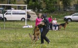 30.05.2015, Липецк, 1-е место в Рабочем классе-сук, КЧК, Судья ФЦИ-ВУСФ  -  В. Космальски (Польша)