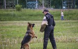 30.05.2015, Липецк, 1-е место в Рабочем классе-сук, КЧК, Судья ФЦИ-ВУСФ  -  В. Космальски (Польша)