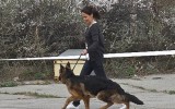 02.05.2014, Alle Rassen Ausstellung, Chabarovsk (Russland), 1VV, &quot;Best Puppy&quot;