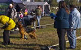 04.10.2014, &quot;Der herbstliche Pokal Primorjes&quot;, 1VV in der NWKL-H, Richter RKF-FCI, Sergej Kuretov (Russia)